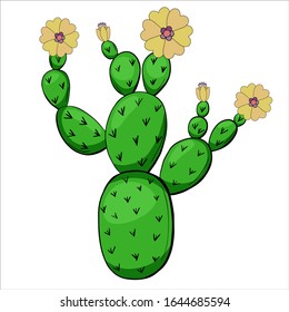 Cactus with yellow flowers vector illustration