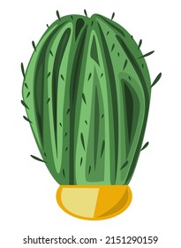 Cactus in a yellow pot vector illustration.
