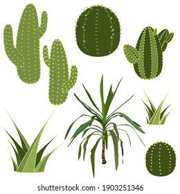 Cactus And Yucca Palm Tree, Exotic Plant, Botany Vector Illustration