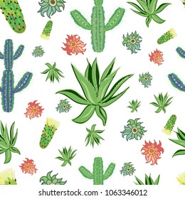 Cactusc spines and flowers on a white background