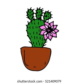 Cactus.Cactus on a white background. Cactus texture. Cactus color.Cactus interiors. Cactus banner.Cactus poster.Cactus cartoon.Cactus landscape. Cactus mexico.