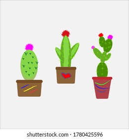 Cactus,drought-resistant plants in vector style.