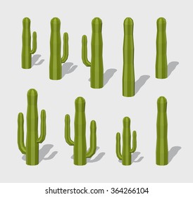 Cactuses. 3D lowpoly isometric vector illustration. The set of objects isolated against the white background and shown from different sides