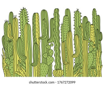 Cactuses background. Green Succulent vector hand drawn illustration for design isolated on white.