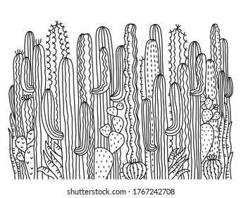 Cactuses background. Succulent vector hand drawn illustration for design isolated on white.