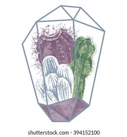 cactuses colorful hand drawn illustration