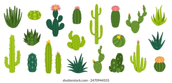 Cactuses. Desert plant, Mexican cacti flower, aloe, succulent. Cartoon decorative gardening cactus, home plants, summer Mexico nature plants. Vector flat set. Exotic botanical spiny elements