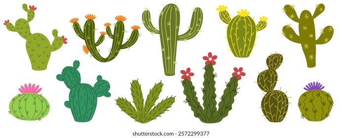 Cactuses. Desert plant, Mexican cacti flower, aloe, succulent. Cartoon decorative gardening cactus, home plants, summer Mexico nature plants. Exotic botanical spiny elements. Vector illustration