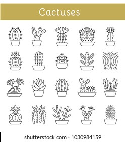 Cactuses of different forms and shapes. Set of desert plants for terrariums and rock gardens. Home & office interior decor elements. Vector line icon collection.  