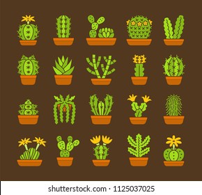 Cactuses of different forms and shapes. Set of desert plants for terrariums and rock gardens. Home & office interior decor elements. Flat bright colorful icons . 