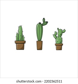 Cactuses of different types in pots