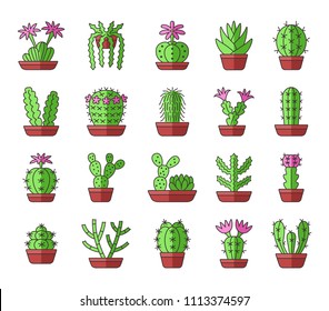 Cactuses of different types. Set of desert plants for terrariums and rock gardens. Home & office interior decor elements. Vector cartoon icon collection. 