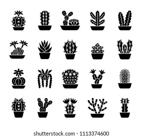 Cactuses of different types. Set of desert plants for terrariums and rock gardens. Home & office interior decor elements. Flat icon collection. Isolated objects on white background.