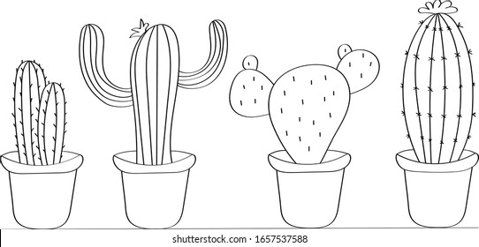 Cactuses is drawn in black doodle style. Coloring book children`s flora, beautiful vector drawing.