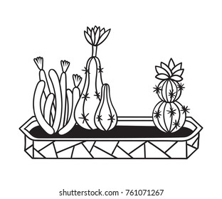 Cactuses with flowers in pot for coloring books. Funny cute cactus with black contour. Mexican plant. Design element for banner, postcard, greeting card, t-shirt. Vector illustration.