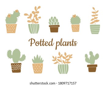 Cactuses and flowers in pots. Home plants. Simple vector illustration.