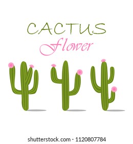 Cactuses with flowers set icon vector