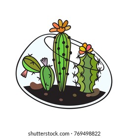 Cactuses with flowers in terrarium. Colored funny cute cactus with black contour. Mexican plant. Design element for banner, postcard, greeting card, t-shirt. Vector illustration.