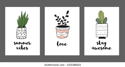  Cactuses, house plants vector print. Hand drawn  illustration for posters, cards, t-shirts.