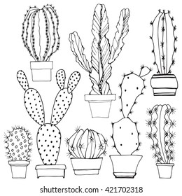 Cactuses isolated on white background. Vector,  hand drawn set illustration.