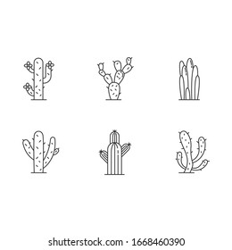 Cactuses pixel perfect linear icons set. American desert plants with fleshy trunks. Family Cactaceae. Customizable thin line contour symbols. Isolated vector outline illustrations. Editable stroke