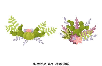 Cactuses and plants set. Desert and succulent plants bouquets vector illustration