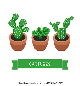 Cactuses in pots. Cacti isolated on white background. Indoor plants in a flat style. Natural background with three cacti. Vector illustration.