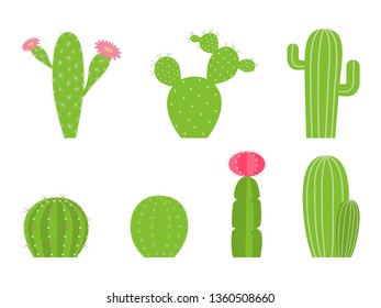 Cactuses with prickles and flowers. Set of different cactuses isolated on white background. Design elements in flat style for wallpaper, greeting card, poster, flyer, banner print