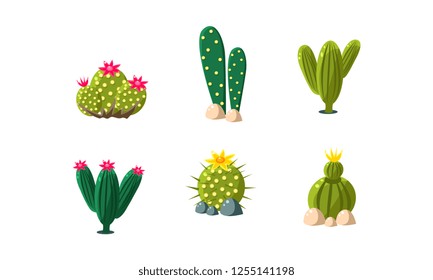 Cactuses set, bright flowering desert plants vector Illustration on a white background