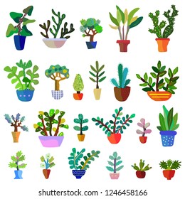 Cactuses set with many flowers, vector graphic illustration