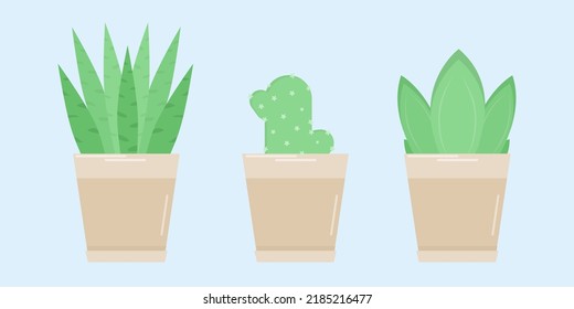 Cactuses. Set of vector cacti and succulents. Vector aloe in a pot. Green cacti in flat style
