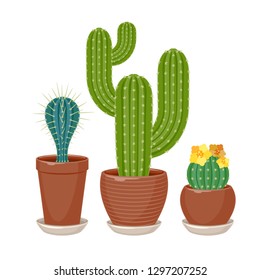 Cactuses set vector illustration. Succulents houseplants collection.