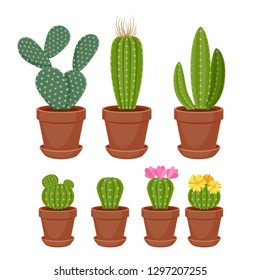 Cactuses set vector illustration. Succulents houseplants collection.