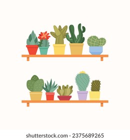 Cactuses shelves. Flat illustration of succulents in colorful flower pots . Vector 10 EPS.

