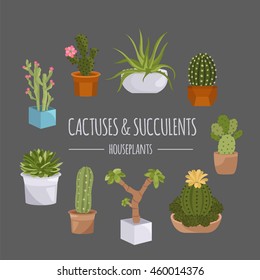 Cactuses and succulents icon set. Houseplants. Vector illustration