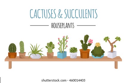 Cactuses and succulents icon set. Houseplants. Vector illustration