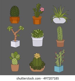 Cactuses and succulents icon set. Houseplants. Vector illustration