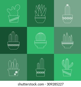 Cactuses and succulents linear icons set. Exotic Mexican plants in pots.