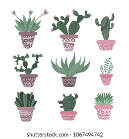 Cactuses and succulents in pots. Plants in pots. Set of illustrations. Vector illustrations.