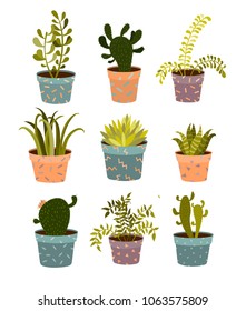 Cactuses and succulents in pots. Set of illustrations.