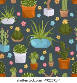 Cactuses and succulents seamless pattern. Houseplants. Vector illustration