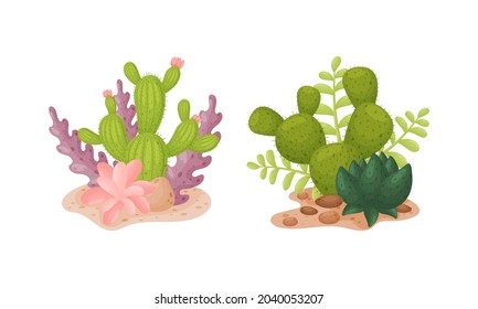 Cactuses and succulents set. Desert plants among sand vector illustration