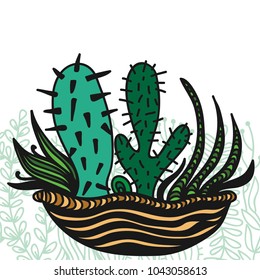 Cactuses. Vector illustration