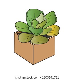 Cactus-succulent in a brown square pot 
 . Vector illustration.Form for banners, postcards. Nature