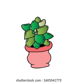 Cactus-succulent in a pink pot with a pattern
 . Vector illustration.Form for banners, postcards. Nature