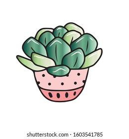 Cactus-succulent in a pink pot with a pattern
 . Vector illustration.Form for banners, postcards. Nature
