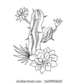 Cactus. Suculentos. Arte de línea. Patrón sin problemas. Ilustración vectorial.