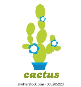 cactus.Vector Illustration