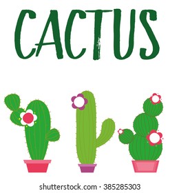 cactus.Vector Illustration