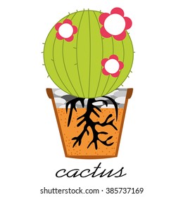 cactus.Vector Illustration